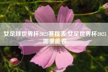 女足球世界杯2023赛程表,女足世界杯2023哪里能看