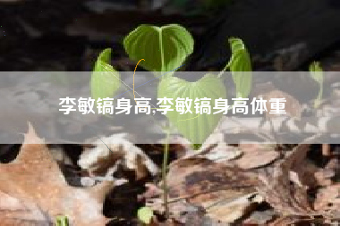 李敏镐身高,李敏镐身高体重