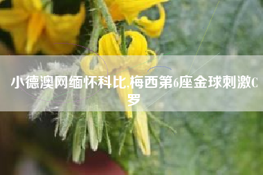 小德澳网缅怀科比,梅西第6座金球刺激C罗