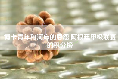 博卡青年和河床的恩怨,阿根廷甲级联赛的积分榜