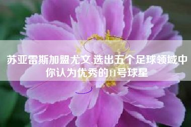 苏亚雷斯加盟尤文,选出五个足球领域中你认为优秀的11号球星