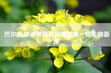 巴尔曼,而奚梦瑶和何穗却要一轮轮的面试