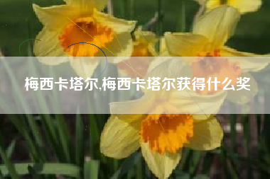梅西卡塔尔,梅西卡塔尔获得什么奖