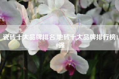 瓷砖十大品牌排名,地砖十大品牌排行榜10强