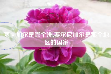 塞内加尔是哪个洲,赛尔尼加尔是那个地区的国家