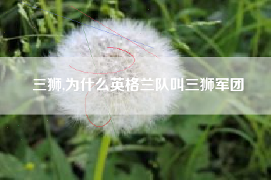 三狮,为什么英格兰队叫三狮军团