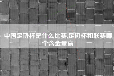中国足协杯是什么比赛,足协杯和联赛哪个含金量高