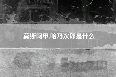 莫斯阿甲,哈乃次郎是什么