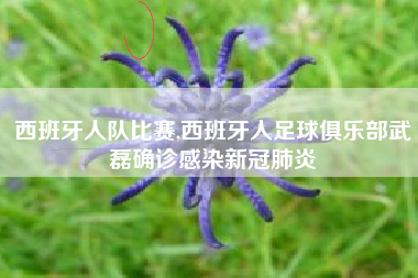 西班牙人队比赛,西班牙人足球俱乐部武磊确诊感染新冠肺炎