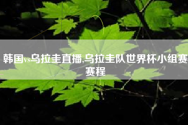 韩国vs乌拉圭直播,乌拉圭队世界杯小组赛赛程