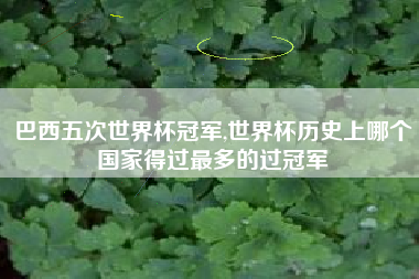巴西五次世界杯冠军,世界杯历史上哪个国家得过最多的过冠军