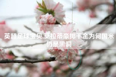 英超足球宝贝,莫拉蒂豪掷千金为何国米仍是黑洞