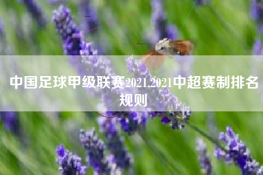 中国足球甲级联赛2021,2021中超赛制排名规则
