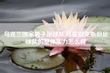 乌克兰国家男子足球队,乌兹别克斯坦足球队的整体实力怎么样