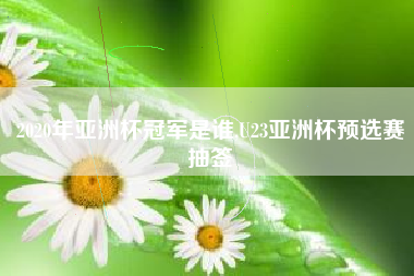 2020年亚洲杯冠军是谁,U23亚洲杯预选赛抽签