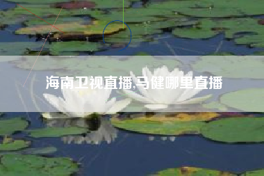 海南卫视直播,马健哪里直播
