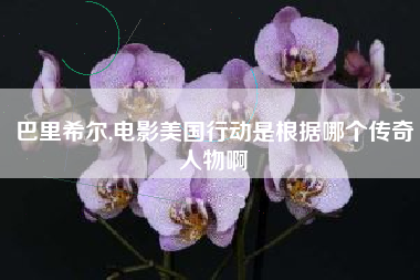巴里希尔,电影美国行动是根据哪个传奇人物啊