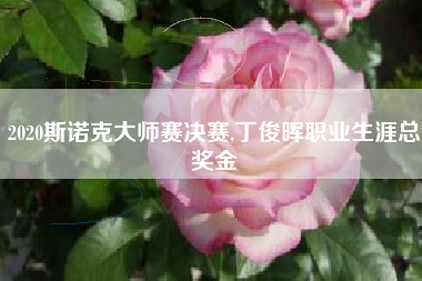 2020斯诺克大师赛决赛,丁俊晖职业生涯总奖金