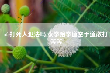 ufc打死人犯法吗,泰拳跆拳道空手道散打等等