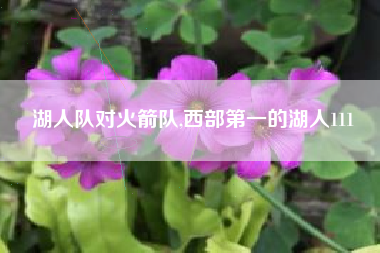 湖人队对火箭队,西部第一的湖人111