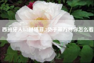 西班牙人1-2赫塔菲,3负于莱万特你怎么看