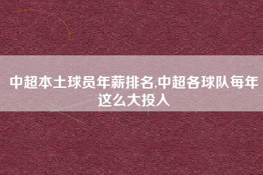 中超本土球员年薪排名,中超各球队每年这么大投入