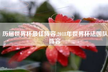 历届世界杯最佳阵容,2018年世界杯法国队阵容