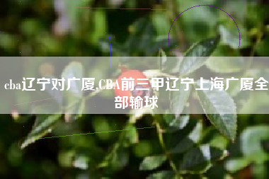 cba辽宁对广厦,CBA前三甲辽宁上海广厦全部输球