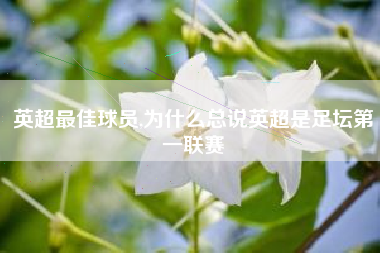 英超最佳球员,为什么总说英超是足坛第一联赛