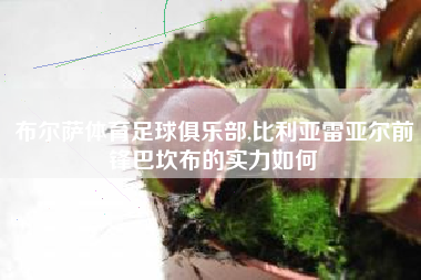 布尔萨体育足球俱乐部,比利亚雷亚尔前锋巴坎布的实力如何