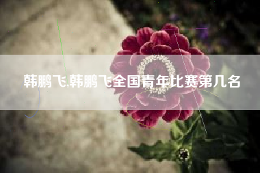 韩鹏飞,韩鹏飞全国青年比赛第几名