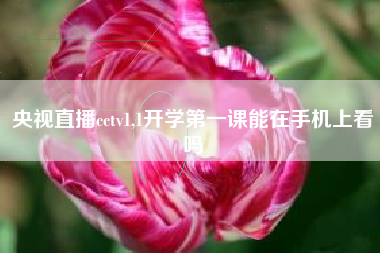央视直播cctv1,1开学第一课能在手机上看吗