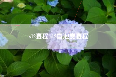s12赛程,s12冒泡赛赛程