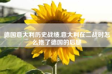 德国意大利历史战绩,意大利在二战时怎么拖了德国的后腿