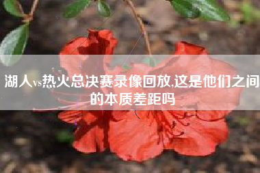 湖人vs热火总决赛录像回放,这是他们之间的本质差距吗