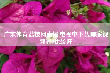 广东体育荔枝网直播,电视中下载哪家视频APP比较好