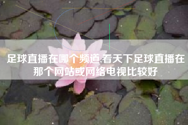 足球直播在哪个频道,看天下足球直播在那个网站或网络电视比较好