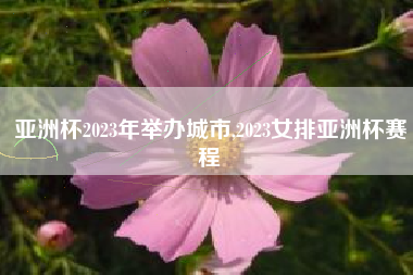 亚洲杯2023年举办城市,2023女排亚洲杯赛程