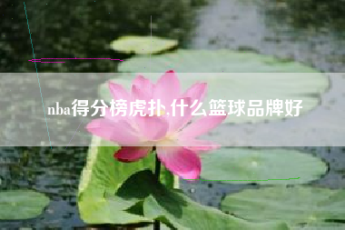 nba得分榜虎扑,什么篮球品牌好