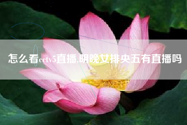 怎么看cctv5直播,明晚女排央五有直播吗
