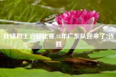 杜锋和王治郅比赛,18年广东队迎来了7连胜