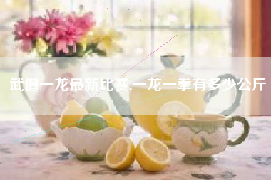 武僧一龙最新比赛,一龙一拳有多少公斤