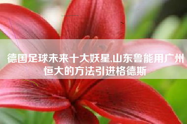 德国足球未来十大妖星,山东鲁能用广州恒大的方法引进格德斯