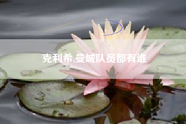 克利希,曼城队员都有谁