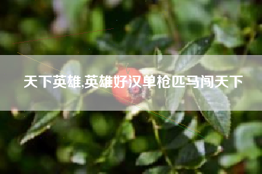 天下英雄,英雄好汉单枪匹马闯天下