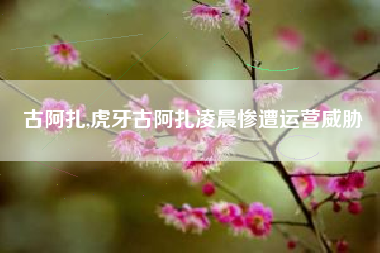 古阿扎,虎牙古阿扎凌晨惨遭运营威胁
