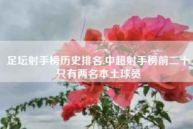 足坛射手榜历史排名,中超射手榜前二十只有两名本土球员