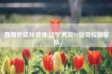 直播吧篮球录像,辽宁男篮VS安哥拉国家队
