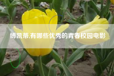 博凯蒂,有哪些优秀的青春校园电影