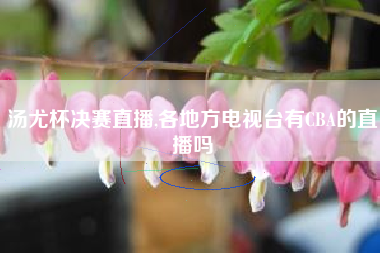 汤尤杯决赛直播,各地方电视台有CBA的直播吗